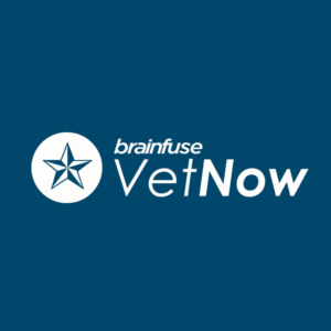 VetNow